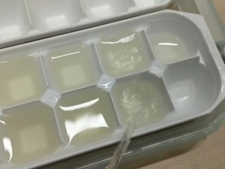 Piss Earn Ice Tray